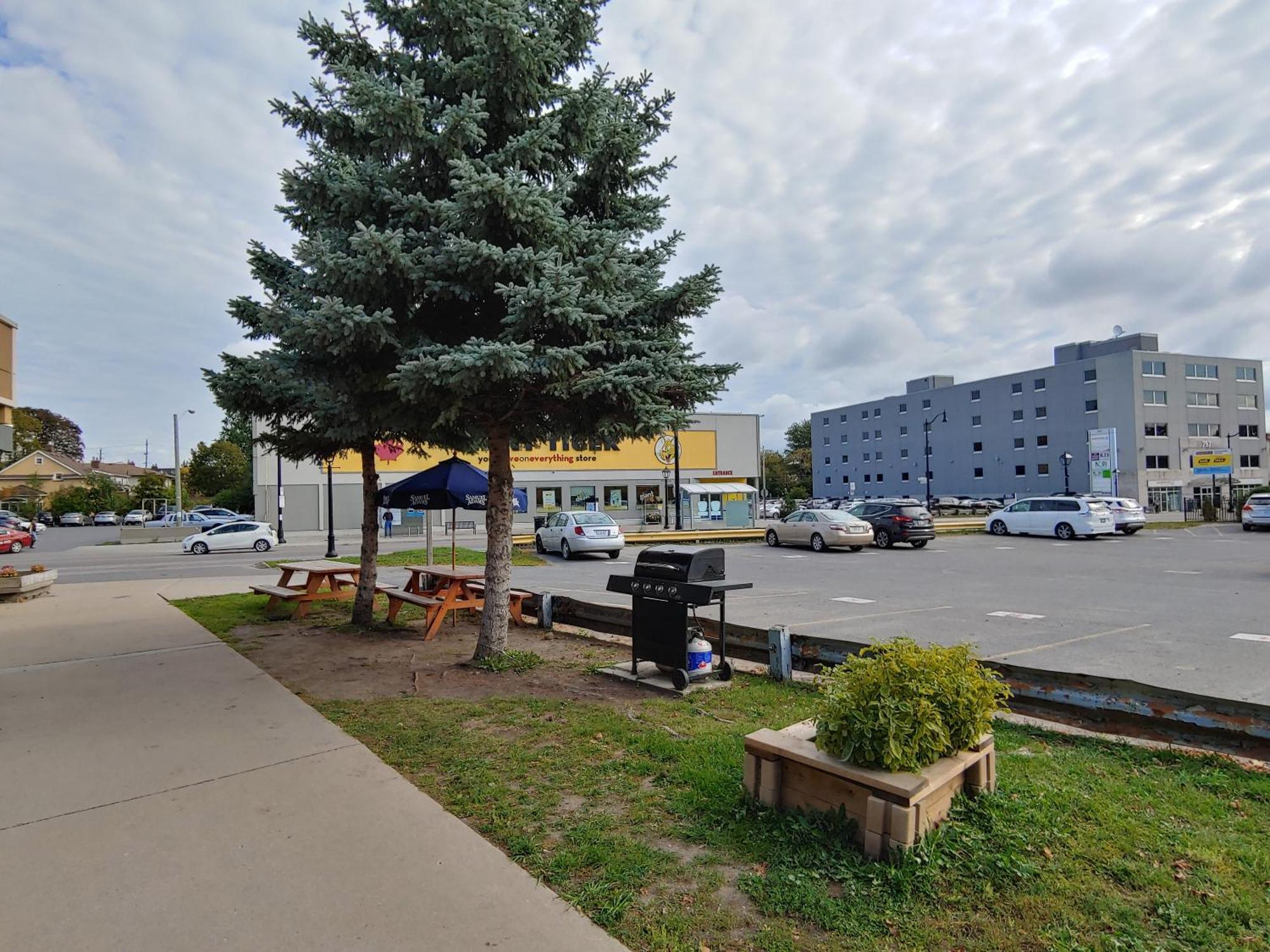 Econo Lodge City Centre Kingston Exterior photo